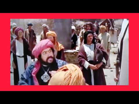 هذا أمر د ب ر بليل