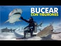 10 consejos al bucear con tiburones