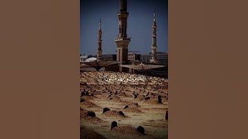 انك ميت وانهم ميتون || القارئ : ماهر المعيقلي || #قرآن