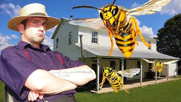 🚨AMISH Client Had 5 YELLOW JACKETS Nests In His House! Wasp Nest Removals! 🚨