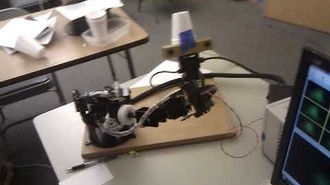 Developing Receptive Fields