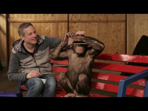 Video: Alat apa yang digunakan simpanse?