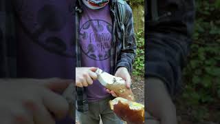 King Bolete (Boletus edulis var. grandedulis) Trimming and Cleaning, Mushroom ASMR