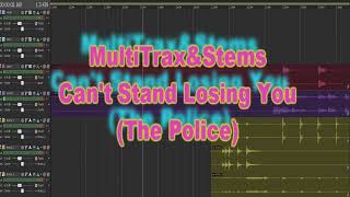 MultiTrax&Stems - Cant Stand Losing You (The Police)