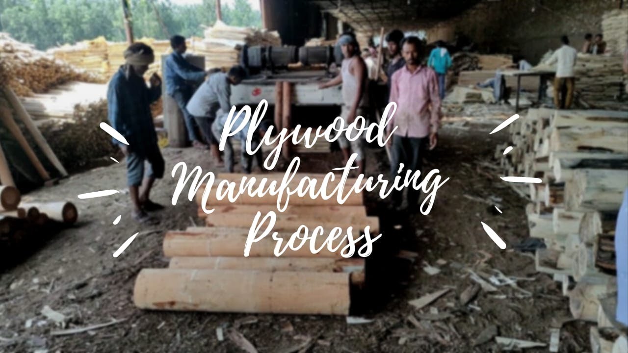 Plywood Manufacturing Process Mangla Plywood Pvt Ltd Company
