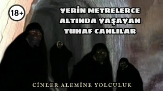 Yerin metrelerce altında yaşayan tuhaf canlılar Paranormal olaylar CİNLER ALEMİNE YOLCULUK