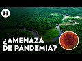 ¿Hay peligro de una nueva pandemia? Detectan extraño virus en Perú