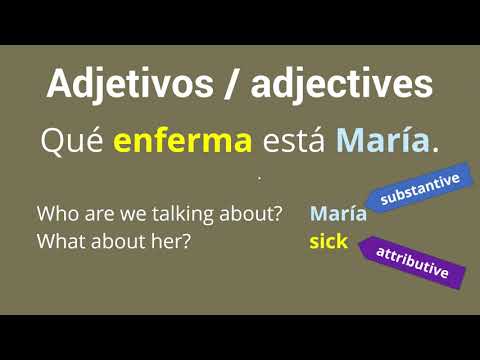 What are attributives? ¿Qué son atributivos?