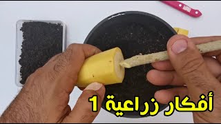 أفكار زراعية 1