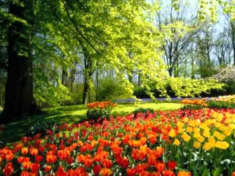 Videó: Az Utolsó Lebegő Virágüzlet Amszterdamban Bezárul