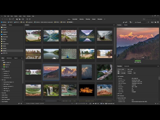 What's New in Adobe Bridge v10.1 (June 2020)