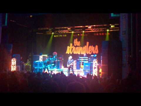 the stranglers at the alhambra