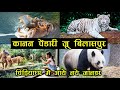      kanan pendari zoo bilaspur chhattisgarh  santu dhurwe vlogs