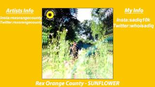 Video thumbnail of "Rex Orange County - SUNFLOWER"