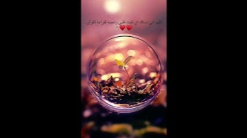 تلاوة خاشعة |وديع اليمني
