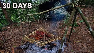 30 Ngày Thử Thách Sinh Tồn Trong Rừng | Ngày 17 | 30 Days Survival Challenge in the Jungle