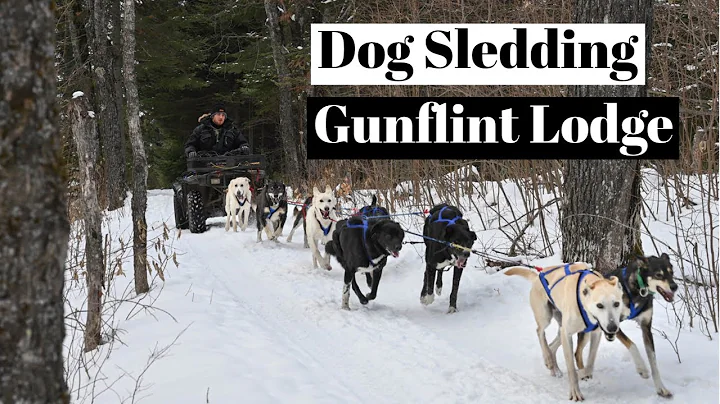 Dog Sledding at Gunflint Lodge! Meet the Mushers