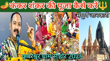 कंकर शंकर की पूजा कैसे करें | संपूर्ण पूजा विधि | Kubereshwar Dham Sehore | #pradeepmishra #upay 