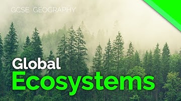 Global Ecosystems / Biomes | AQA GCSE 9-1 Geography