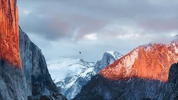 Visual Logic example using an Array and a For Loop