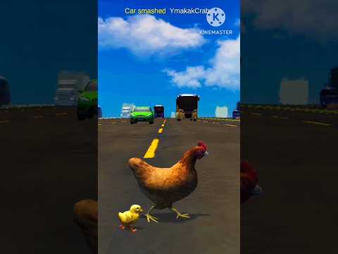 Road crossing with baby chicken part -73 😀 