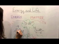 Energy and Matter: The Essentials of Life in Biology
