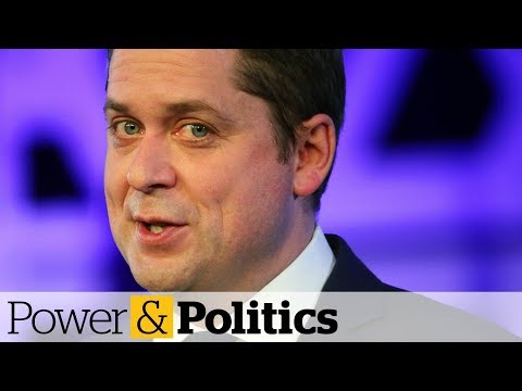 Video: Watter party is konserwatief?