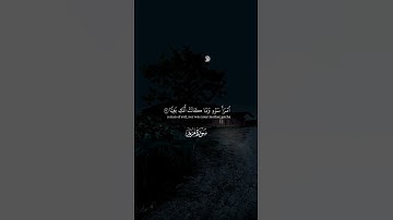 #عبدالباسط_عبدالصمد #قرآن_كريم #تلاوة#آيات #القرآن_الكريم #تلاوة_خاشعة #قرآن#quran#القرآن #قران_كريم
