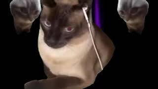 [ALL STAR]Chipi Chipi Chapa Chapa （Season1）