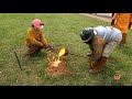 CASTING A FIRE ANT MOUND IN IRON