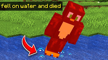 I Hired a Pro Mod Developer to REVERSE Minecraft