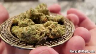 Sherbert 16.6% THC Flower from Trulieve - Florida Medical Marijuana Strain Reviews