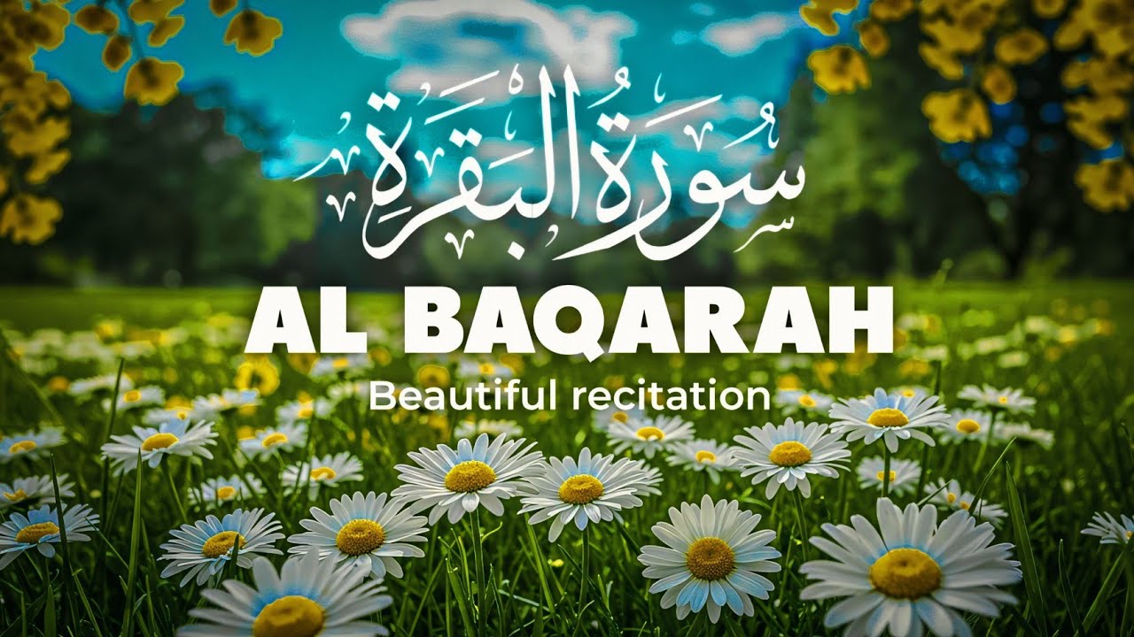 Surah Al-Baqarah | Powerful Protection & Blessings | Soothing Recitation, By Sheikh Mishary Afasy