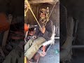 #coalmining#shortvideo#coalminingvideo