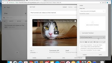 How to add videos to your Squarespace website