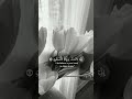قيل ادخل الجنه قال ياليت قومي يعلمون قران كريم اكسبلور تصميمي