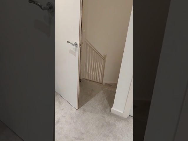 Video 1: