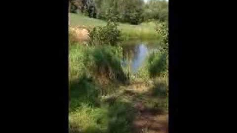 Installing a Kasco Marine Robust-Aire Diffused Aeration System