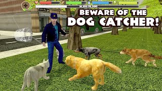 🐕🦴Stray Dog Labrador Simulator, City Rampage, By Gluten Free Games Part 2 screenshot 2