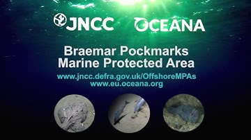 Braemar Pockmarks Marine Protected Area