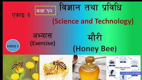 Class 10 Sience chapter 3 | honey bee full exercise solution