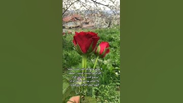 ما أجمله من أسلوب // سورة الحج 🕋❤️ // تلاوة مليئة بالطمأنينة القارئ ماهر المعيقلي//تلاوة خاشعة مؤثرة