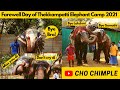 பிரியாவிடை குடுத்த தோழிகள் 😢 | Farewell | Thekkampatti Elephant Camp 2021 | March 27 | Cho Chimple