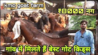 आदिल खान के गांव के बकरे | visit kmc goat farm nagour | bakra market ajmer