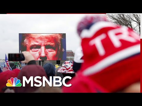 ‘Legally frivolous:’ Famed Free Speech Attorney Floyd Abrams On Trump Defense | All In | MSNBC