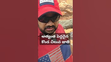 అత్యంత పెద్దదైన కొండ చిలువ జాతి, reticulated Python, bigger than Anaconda snake