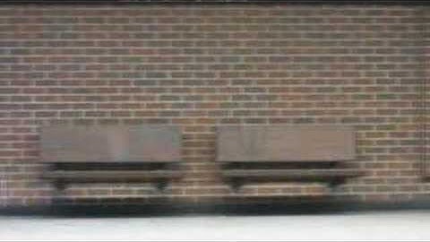 LMDS - Une Belle Histoire