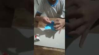 math performance task #2