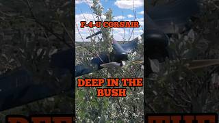 Corsair trimming the bush