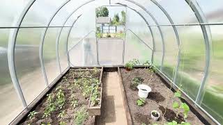 Best Storm‑Proof Metal Greenhouse? Waldenhaus Polycarbonate Greenhouse for High‑Wind UK Allotments